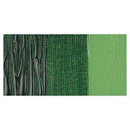 Winsor & Newton Galeria Acrylic Paint - Hooker's Green swatch