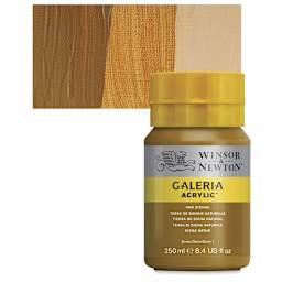 Winsor & Newton Galeria Flow Acrylic - Raw Sienna, 250 ml tube and swatch