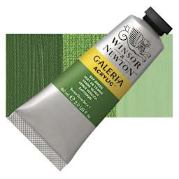 Winsor & Newton Galeria Flow Acrylic - Sap Green, 60 ml tube and swatch