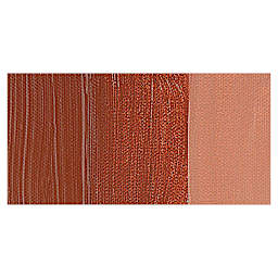 Liquitex Professional Heavy Body Acrylic Paint - Burnt Sienna swatch