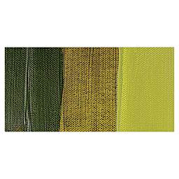 Liquitex Professional Heavy Body Acrylic Paint - Green Gold swatch