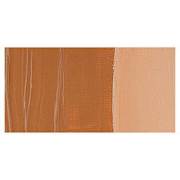 Liquitex Professional Heavy Body Acrylic Paint - Raw Sienna swatch