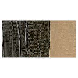 Liquitex Professional Heavy Body Acrylic Paint - Transparent Burnt Umber swatch