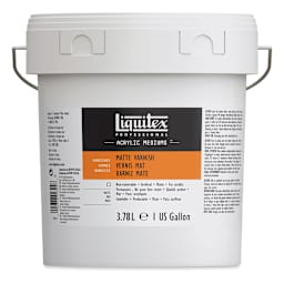 Liquitex Acrylic Varnish - Matte, Gallon