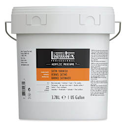 Liquitex Acrylic Varnish - Satin, Gallon, Bucket