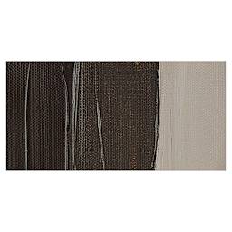 Golden Heavy Body Artist Acrylic Paint - Raw Umber swatch