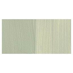 Golden Fluid Acrylic Paint - Titan Green Pale swatch