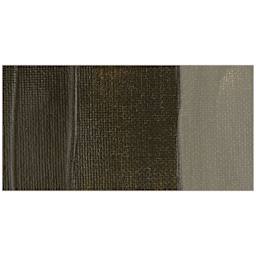 Chroma A2 Lightfast Heavy Body Arylic Paint - Raw Umber swatch