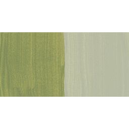 Lefranc & Bourgeois Flashe Vinyl Paint - Light Green Earth swatch