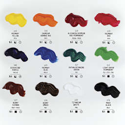 Liquitex Basics Acrylic Paints - Set of 12, Assorted Colors, 118 ml, swatches