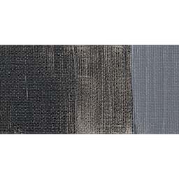 Liquitex Basics Acrylic Paint - Iridescent Graphite swatch