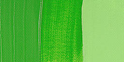 Liquitex Basics Acrylic Paint - Light Green Permanent swatch