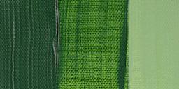 Liquitex Basics Acrylic Paint - Hookers Green Hue Permanent swatch