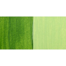 FolkArt Outdoor Acrylic Paint - Grass Green Swatch
