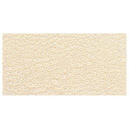 Pebeo Fantasy Prisme Paint - Eggshell White swatch