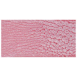 Pebeo Fantasy Prisme Paint - Icy Pink swatch