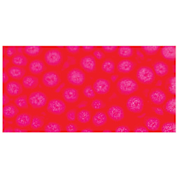 Pebeo Fantasy Prisme Paint - Fluorescent Pink swatch