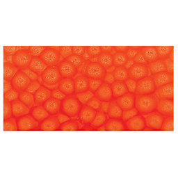 Pebeo Fantasy Prisme Paint - Fluorescent Orange swatch
