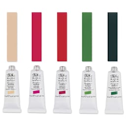 Winsor & Newton Designers Gouache - Botanical Colors, Set of 5, 14 ml Tubes with swatches