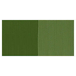 Winsor & Newton Designers Gouache - Olive Green swatch