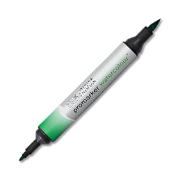 Winsor & Newton Promarker Watercolor Marker - Phthalo Green (Yellow Shade)
