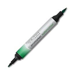 Winsor & Newton Promarker Watercolor Marker - Hooker's Green