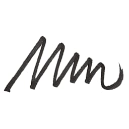 Pentel Arts Micro Brush Tip Sign Pen - Black swatch