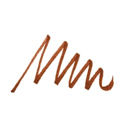 Pentel Arts Micro Brush Tip Sign Pen - Brown swatch