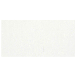 Richeson Casein Paint The Shiva Series - Titanium White swatch