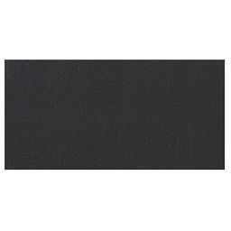 Richeson Casein Paint The Shiva Series - Ivory Black swatch