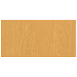 Richeson Casein Paint The Shiva Series - Raw Sienna swatch