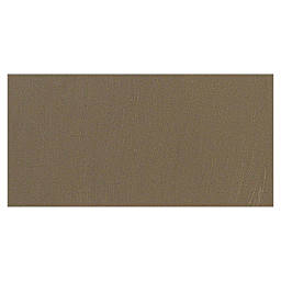 Richeson Casein Paint The Shiva Series - Raw Umber swatch