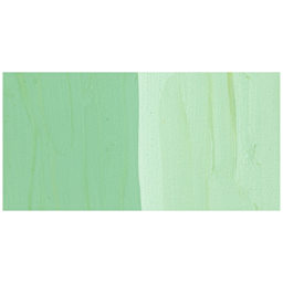 Nicker Designers Color Gouache - Wakatake swatch