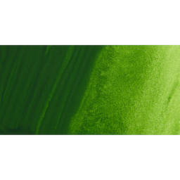 ShinHan Pass Colors Opaque Watercolor Tube - Sap Green swatch