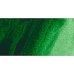 ShinHan Pass Colors Opaque Watercolor Tube - Hooker's Green swatch