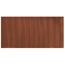 Testors Enamel Paint - Rust swatch