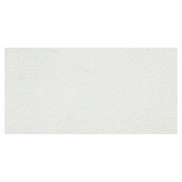 R&F Encaustic Paint - Titanium White swatch