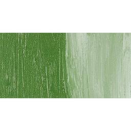 R&F Pigment Stick - Chromium Oxide swatch