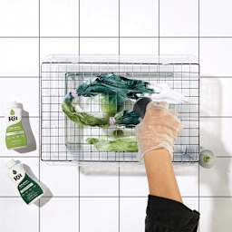 Rit All Purpose Liquid Dye - Dark Green, 8 oz, bottle in hand tie dyeing fabric