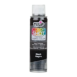 Tulip ColorShot Instant Fabric Color Spray - Black