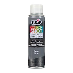 Tulip ColorShot Instant Fabric Color Spray - Gray