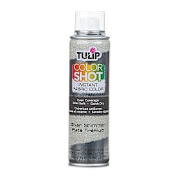 Tulip ColorShot Instant Fabric Color Spray - Metallic Silver