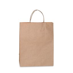 Darice Kraft Paper Bags with Handles - Medium, Single Bag