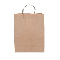 Darice Kraft Paper Bags with Handles - Large, Pkg of 12