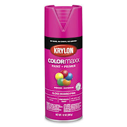 Krylon Colormaxx Spray Paint - Mambo Pink, Gloss, 12 oz