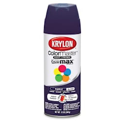 SPRAY PNT SATIN IVORY (6)