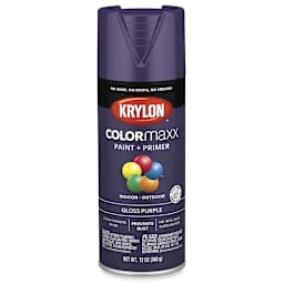 Krylon Colormaxx Spray Paint - Purple, Gloss, 12 oz