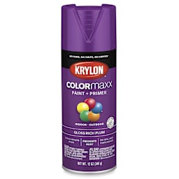 Krylon Colormaxx Spray Paint - Rich Plum, Gloss, 12 oz