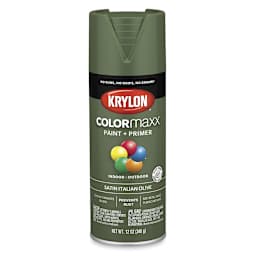 Krylon Colormaxx Spray Paint - Front of 12 oz can of Satin Italian Olive Color