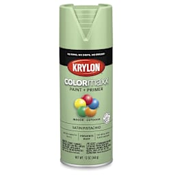 Krylon Colormaxx Spray Paint - Pistachio, Satin, 12 oz